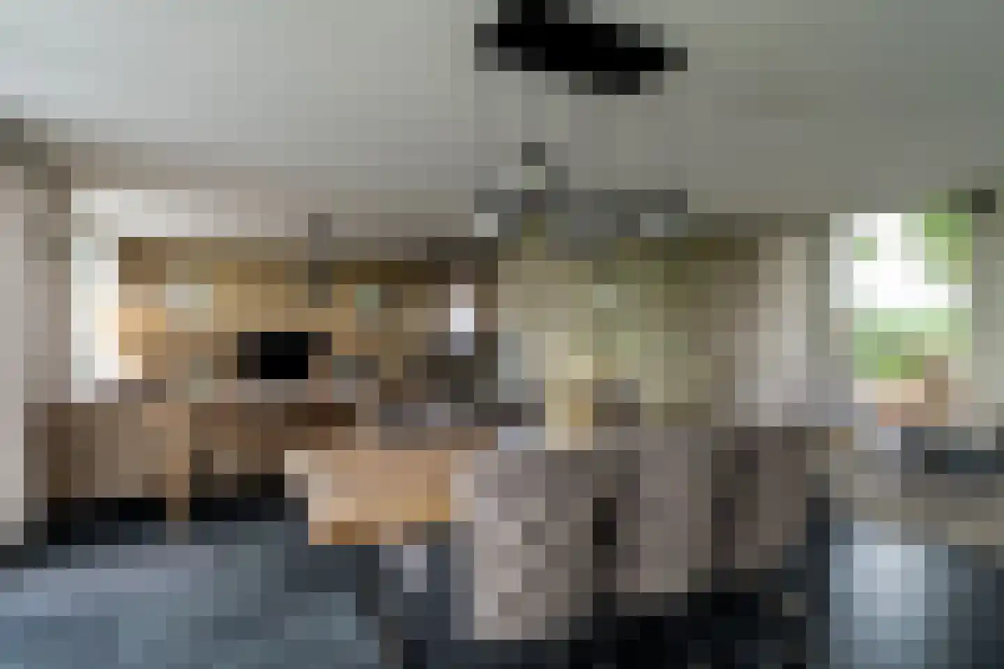 Vaartweg 202 Dongen thumbnail 20