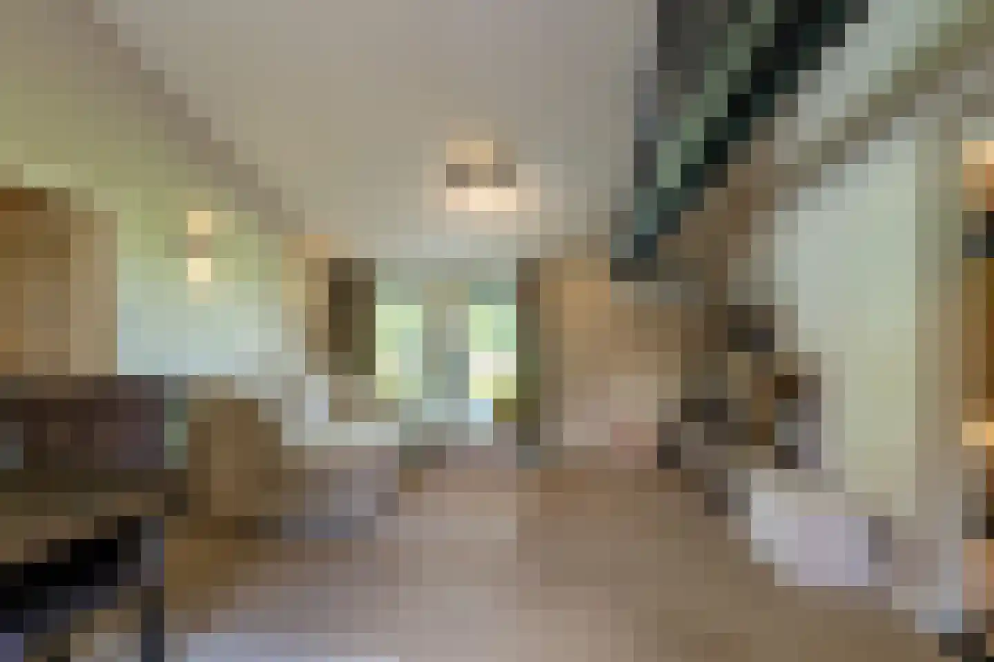Vaartweg 202 Dongen thumbnail 37
