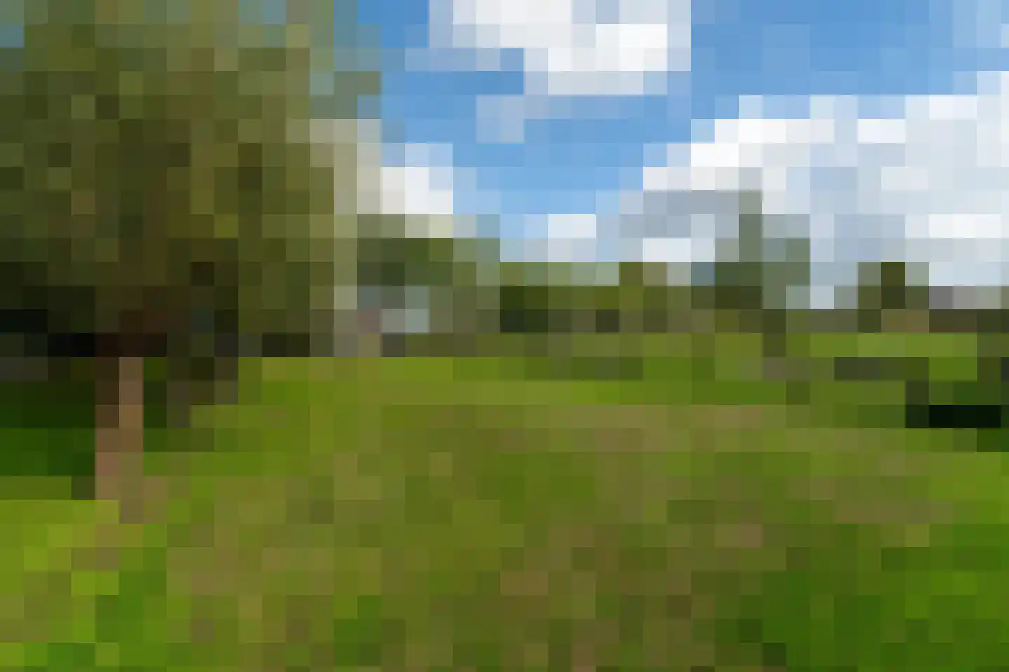Vaartweg 202 Dongen thumbnail 46