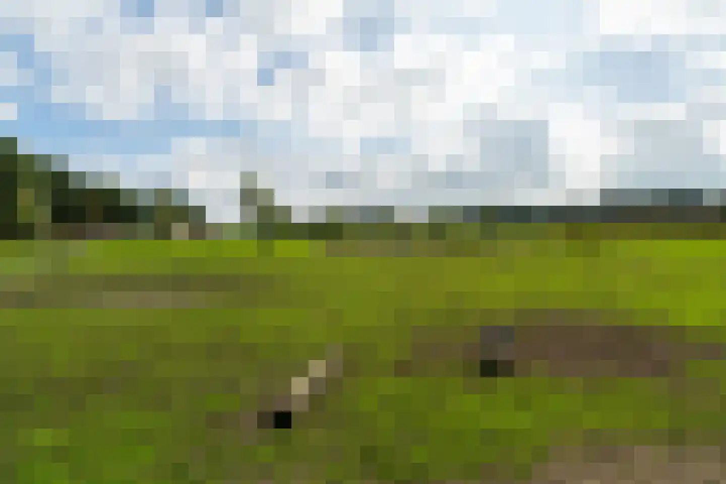 Vaartweg 202 Dongen thumbnail 5