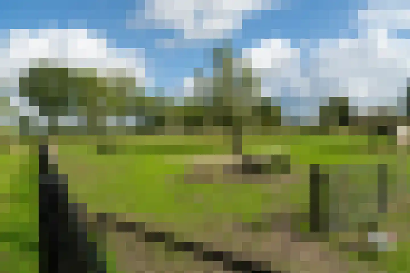 Vaartweg 202 Dongen thumbnail 6