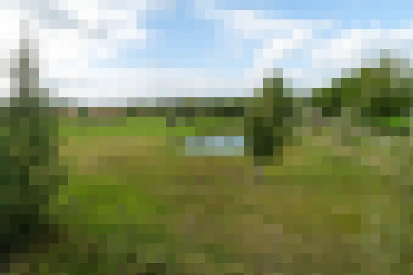 Vaartweg 202 Dongen thumbnail 7