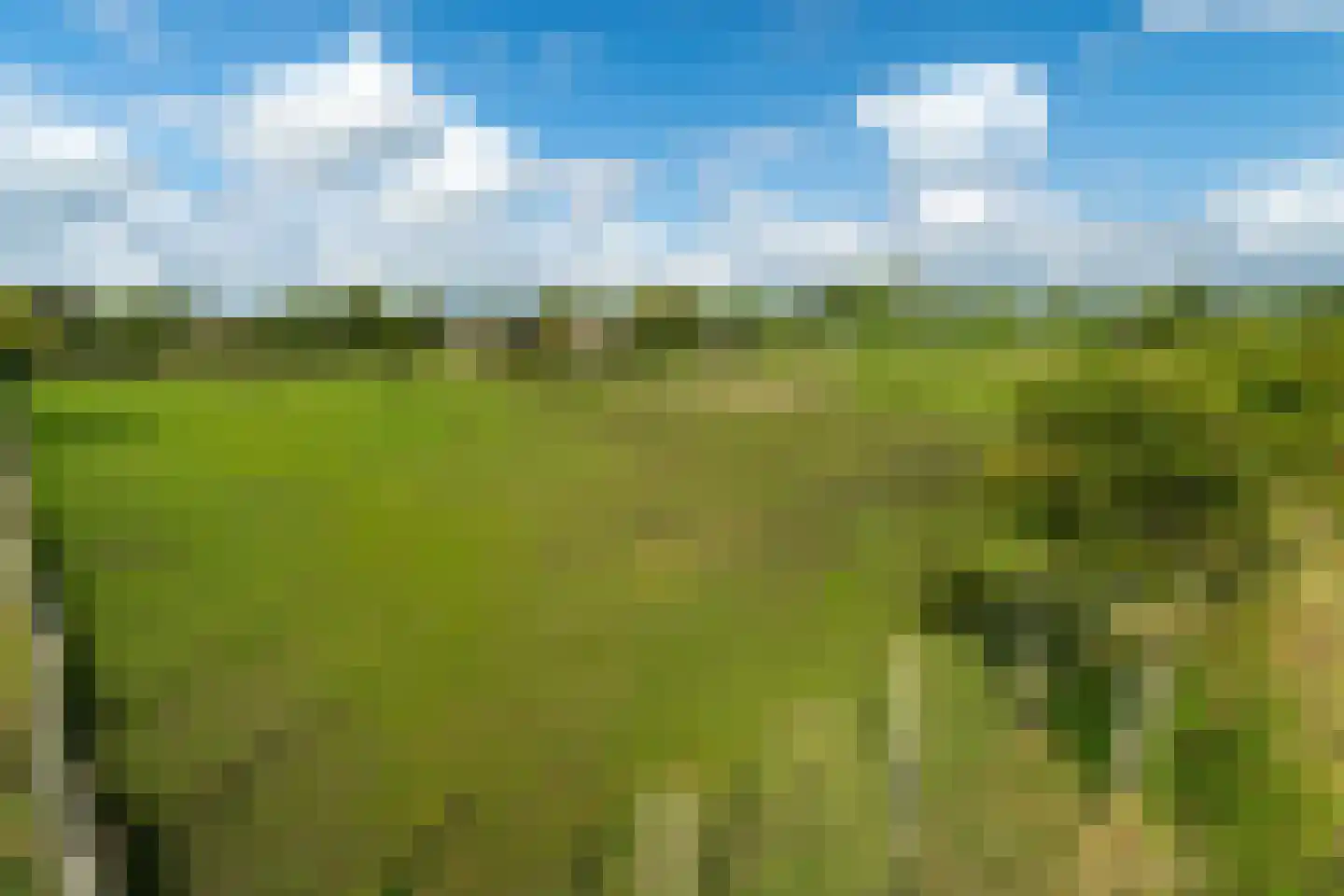 Vaartweg 202 Dongen thumbnail 8