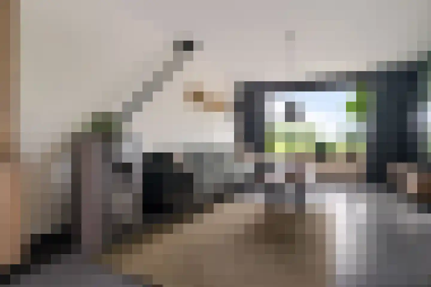 Vaartweg 21 Espel thumbnail 12