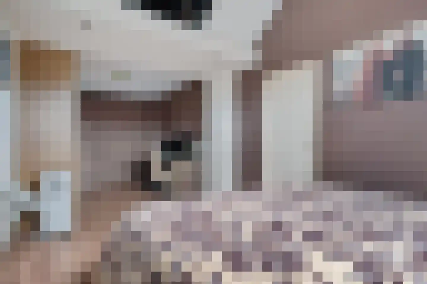 Vaartweg 21 Espel thumbnail 22