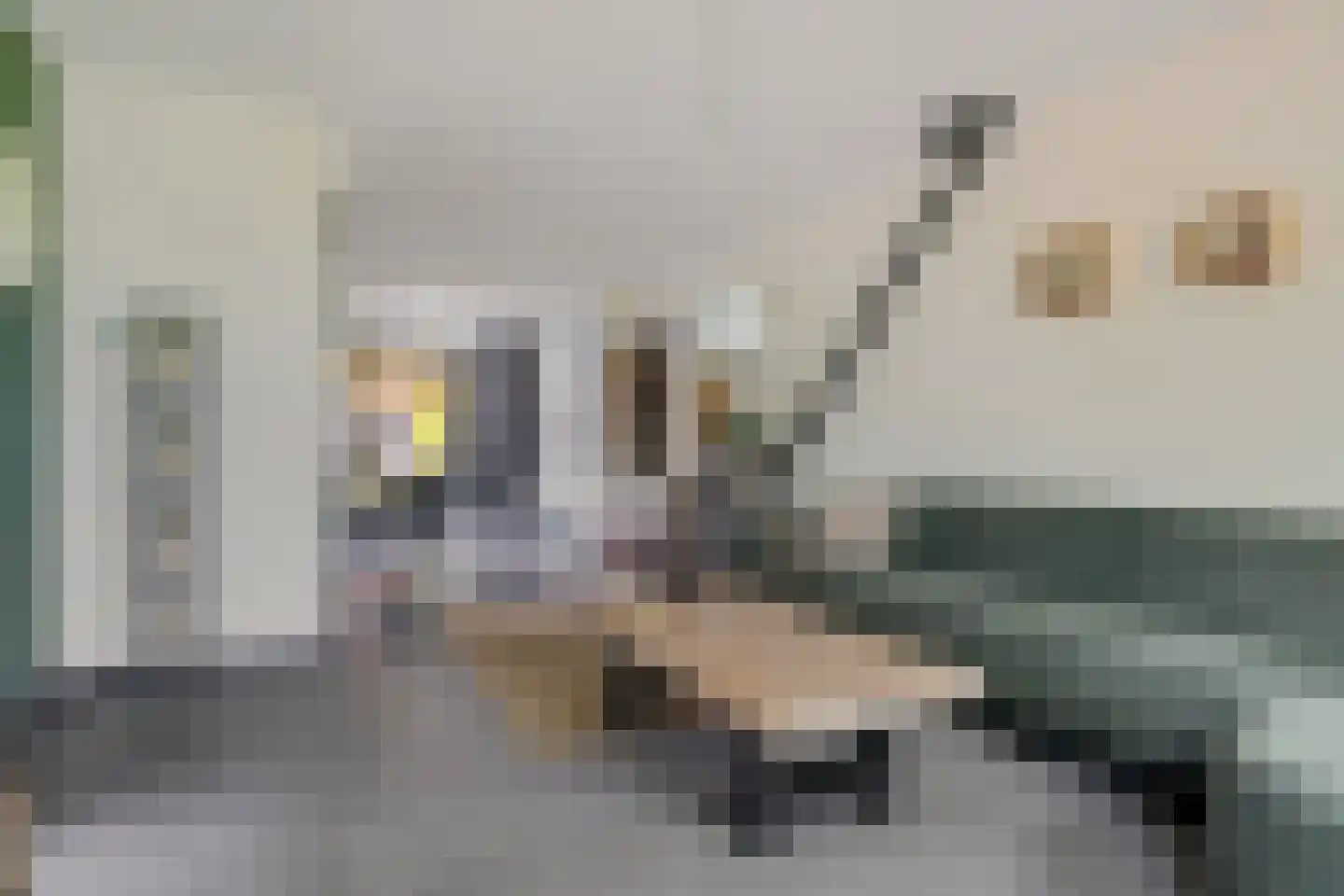 Vaartweg 21 Espel thumbnail 5