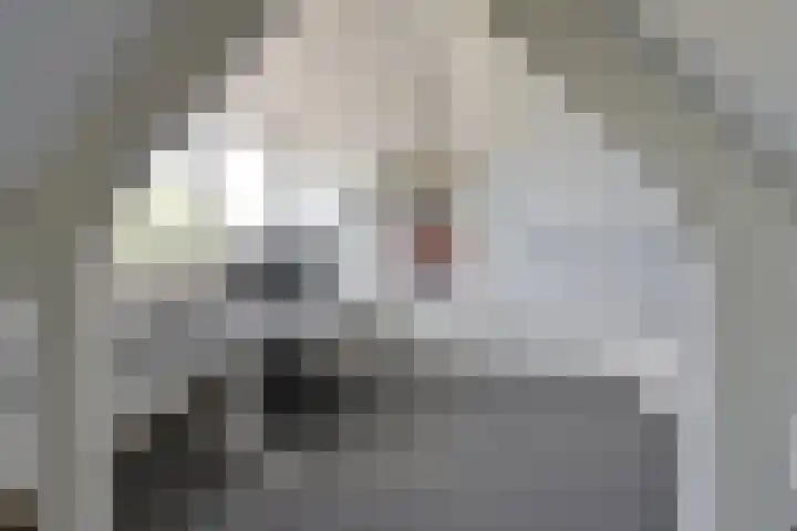 Vaartweg 24 C 1 Hilversum thumbnail 17