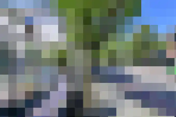 Vaartweg 24 C 1 Hilversum thumbnail 20