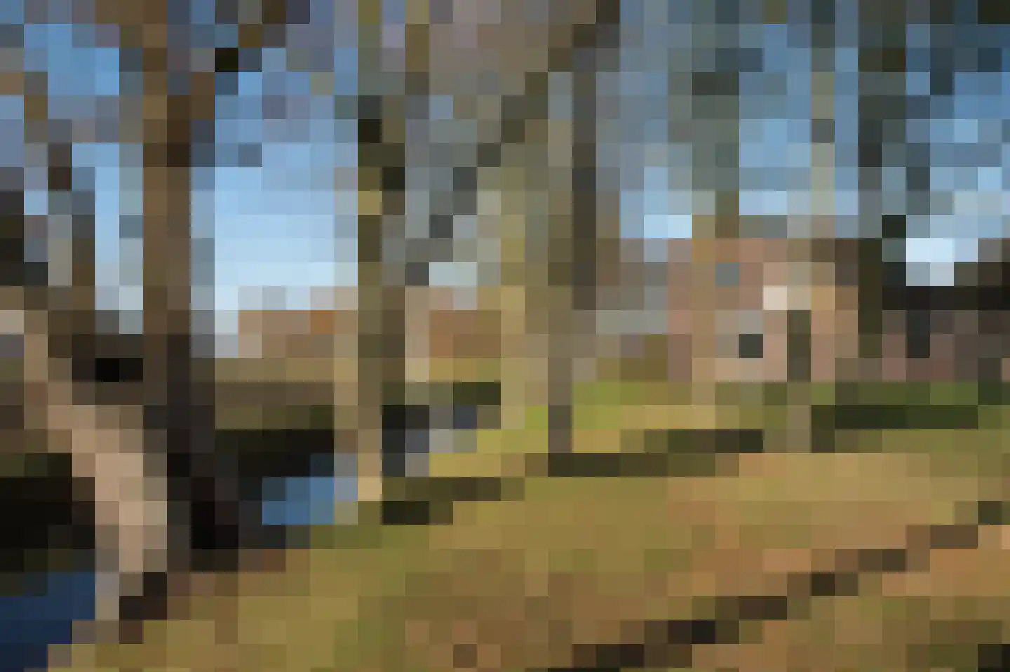 Vaartweg 24 Smilde thumbnail 32