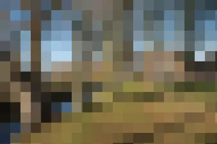 Vaartweg 24 Smilde thumbnail 32