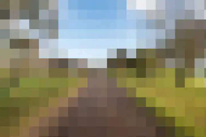 Vaartweg 24 Smilde thumbnail 7