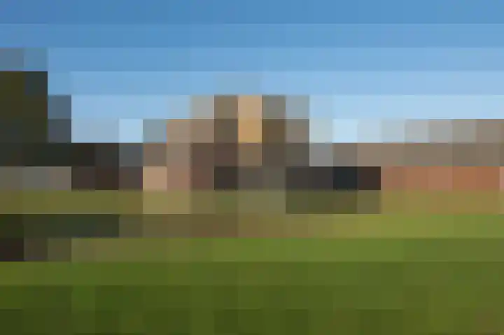 Vaartweg 24 Smilde thumbnail 9