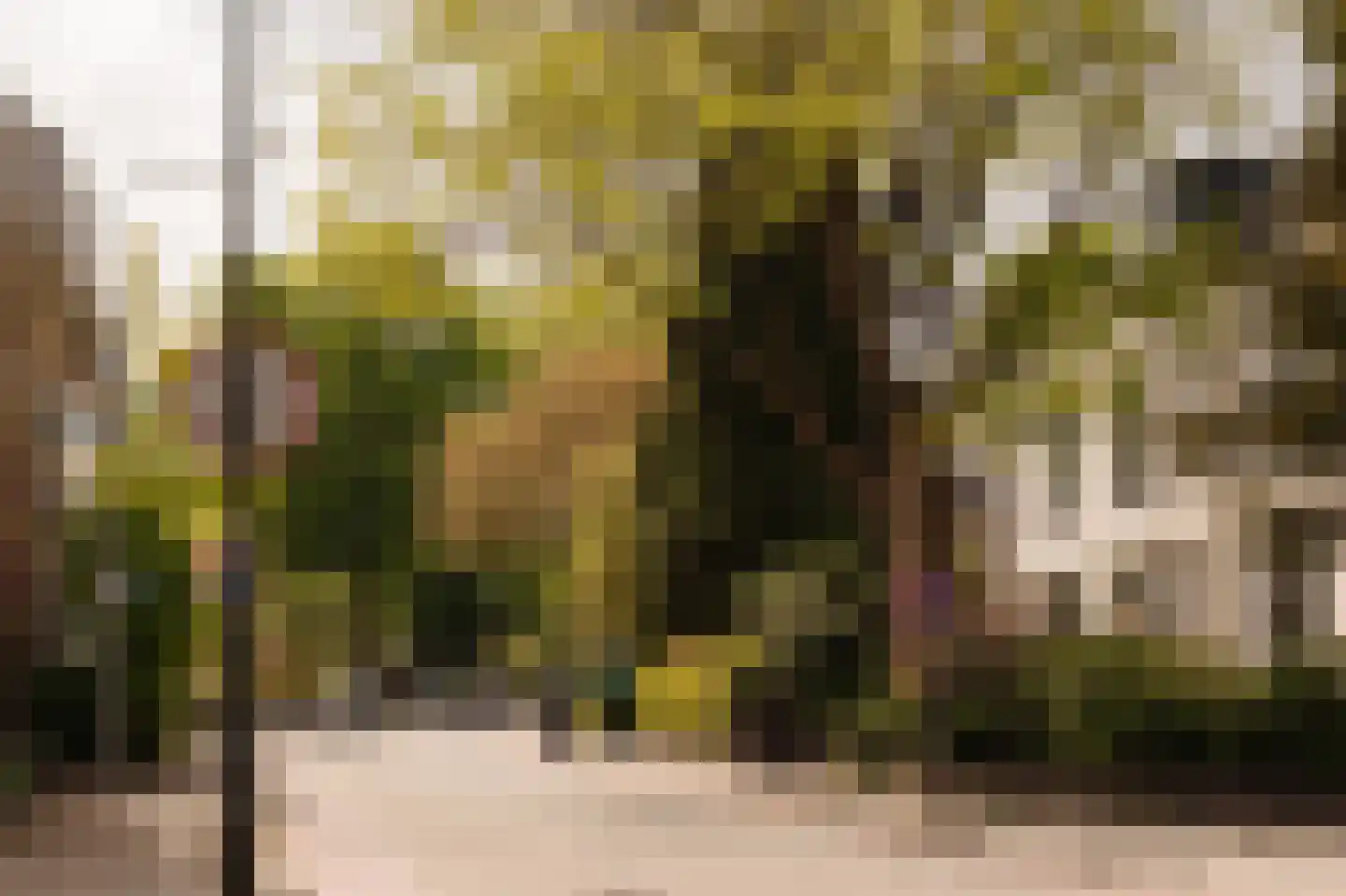 Vaartweg 26 A 1 Hilversum thumbnail 24