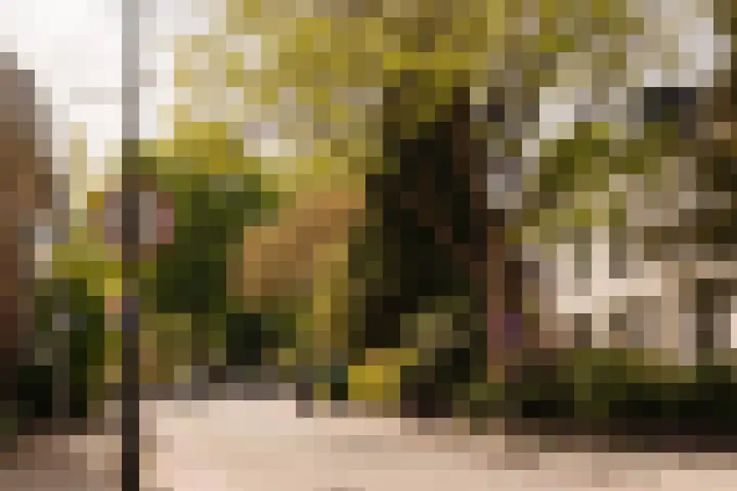 Vaartweg 26 A 1 Hilversum thumbnail 24