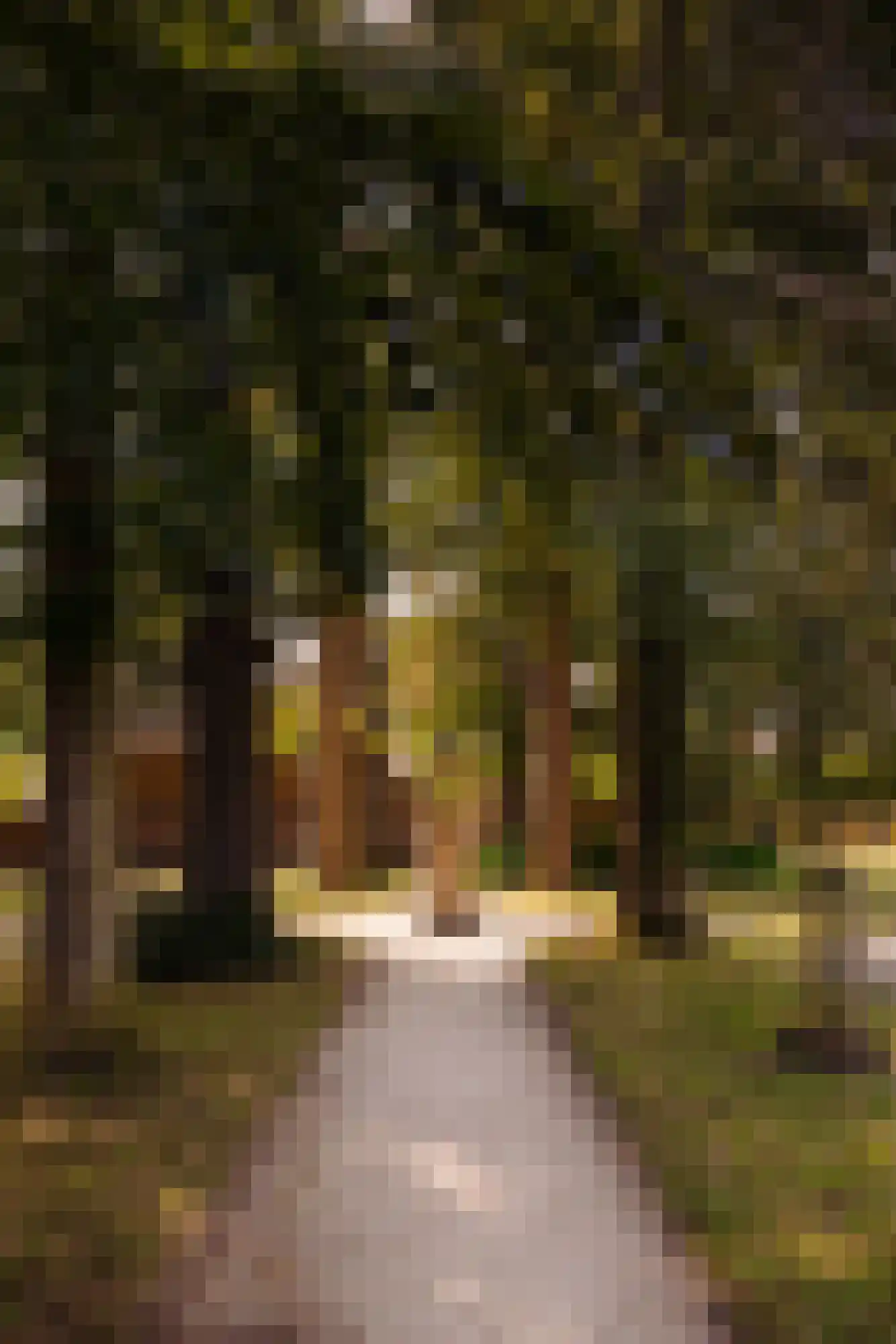Vaartweg 26 A 2 Hilversum thumbnail 23