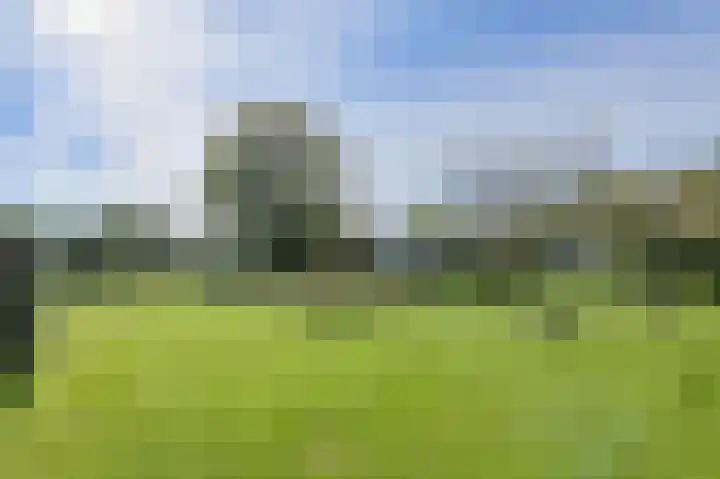 Vaartweg 27 B 's Gravenmoer thumbnail 39