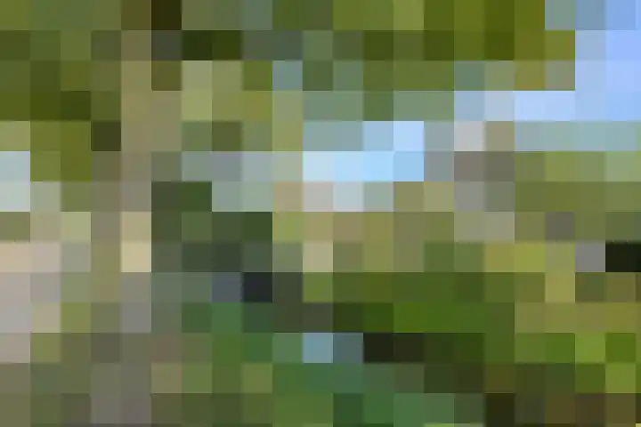 Vaartweg 27 B 's Gravenmoer thumbnail 48