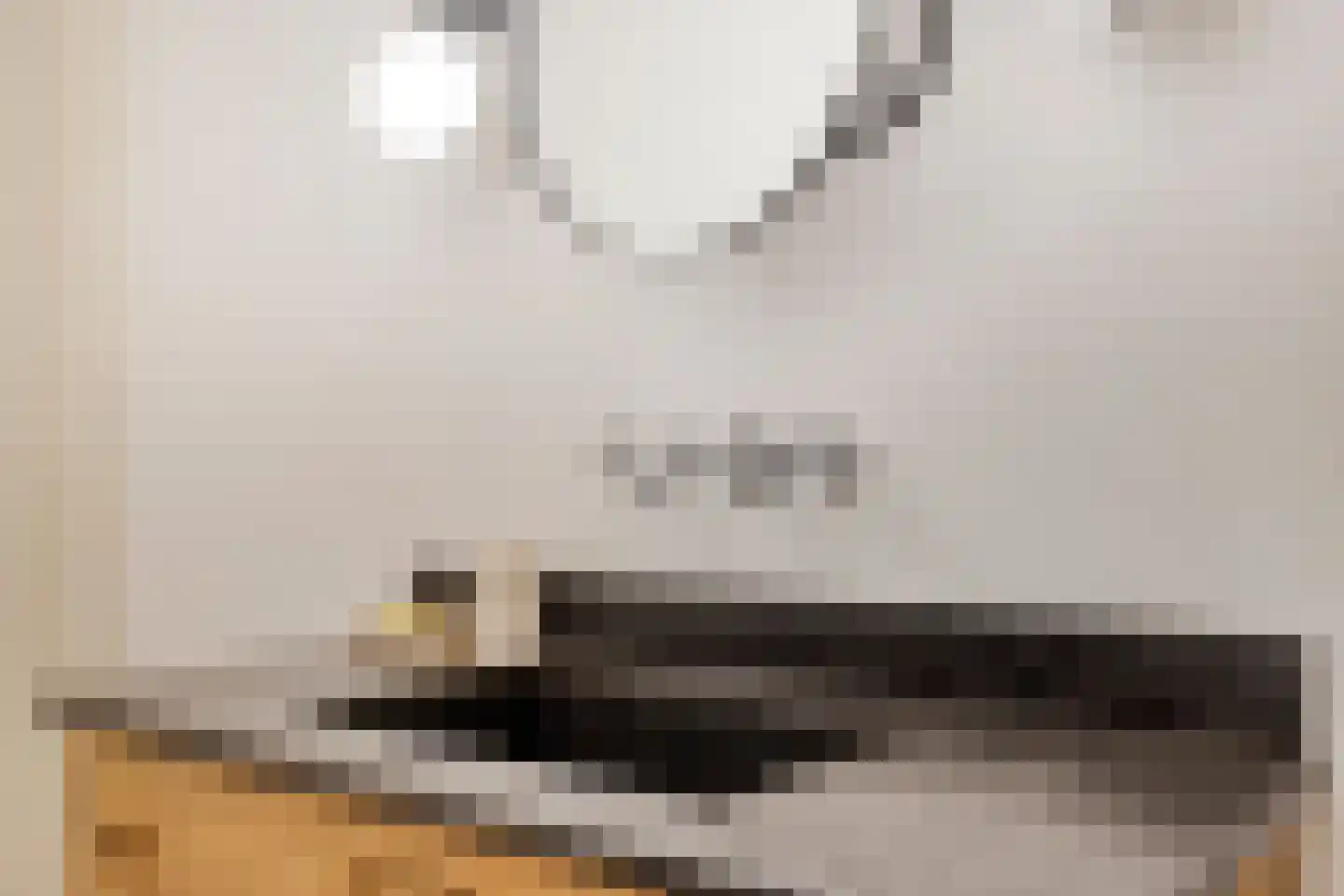 Vaartweg 34 's Gravenmoer thumbnail 14