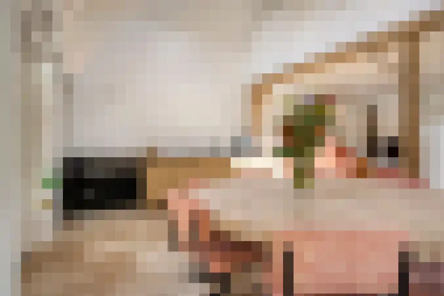 Vaartweg 34 's Gravenmoer thumbnail 19