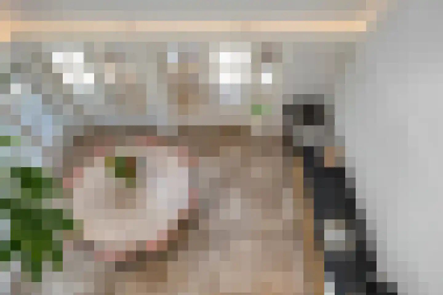 Vaartweg 34 's Gravenmoer thumbnail 26