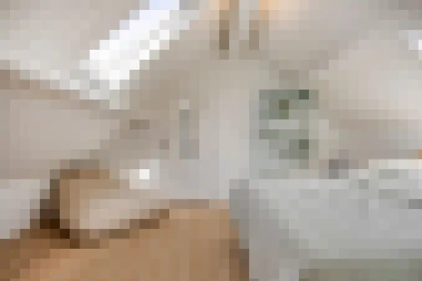Vaartweg 34 's Gravenmoer thumbnail 32