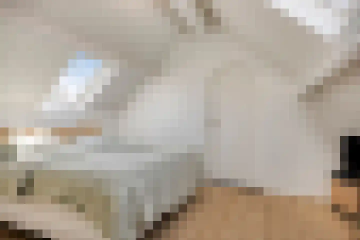 Vaartweg 34 's Gravenmoer thumbnail 33