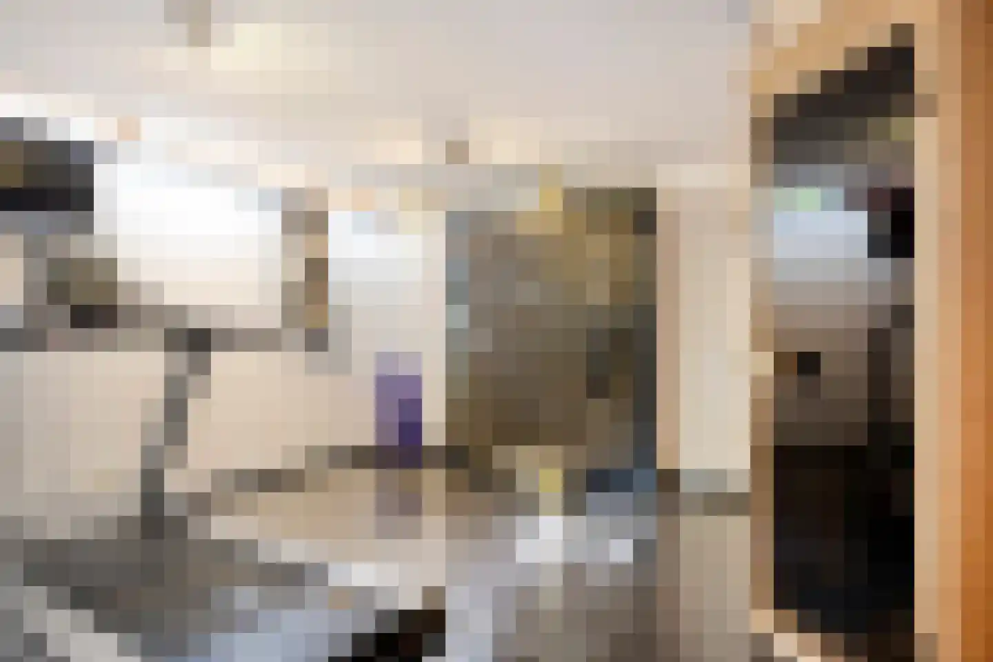 Vaartweg 34 's Gravenmoer thumbnail 35