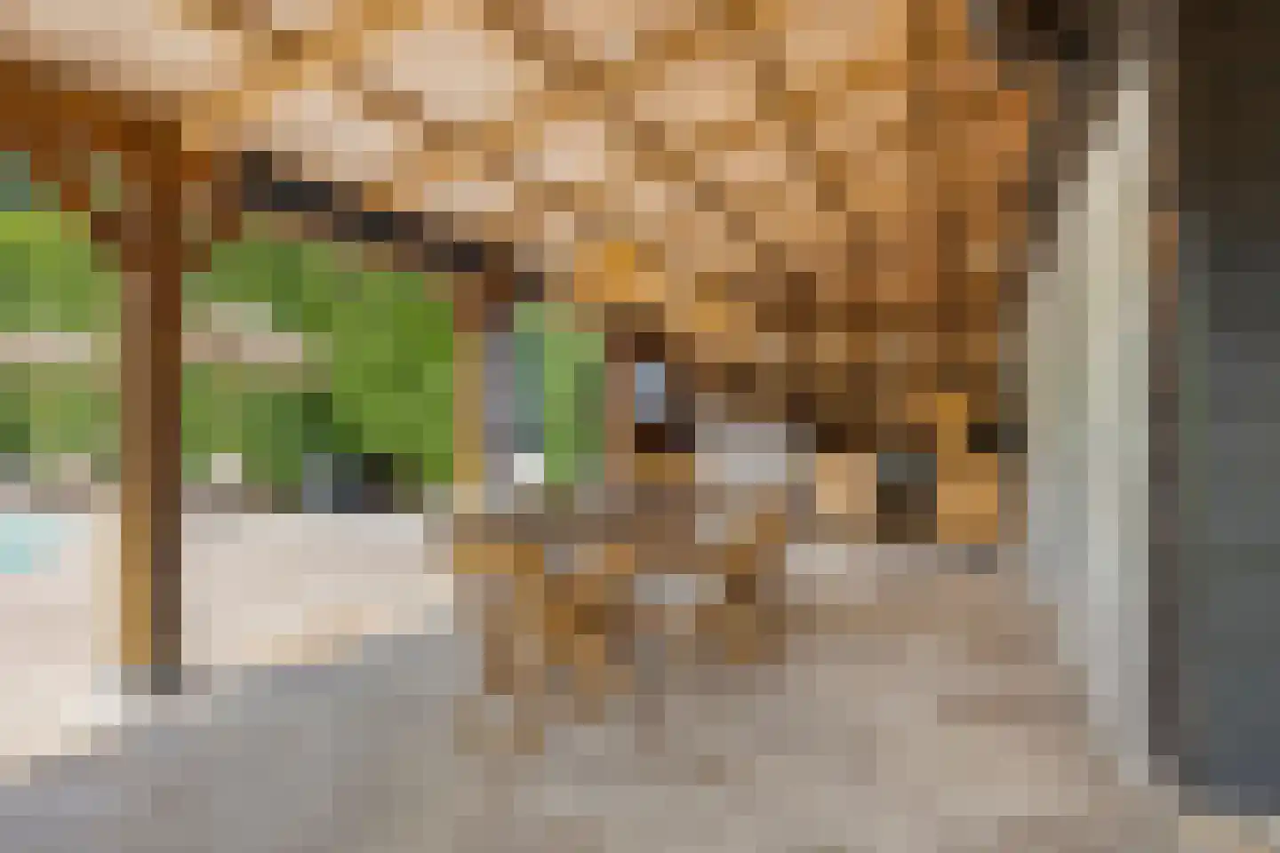 Vaartweg 34 's Gravenmoer thumbnail 37