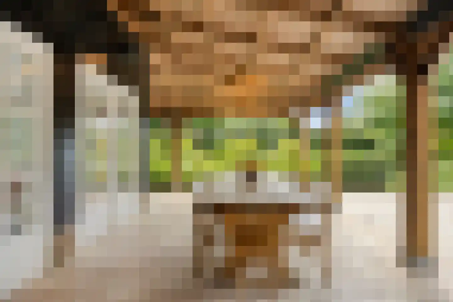 Vaartweg 34 's Gravenmoer thumbnail 38