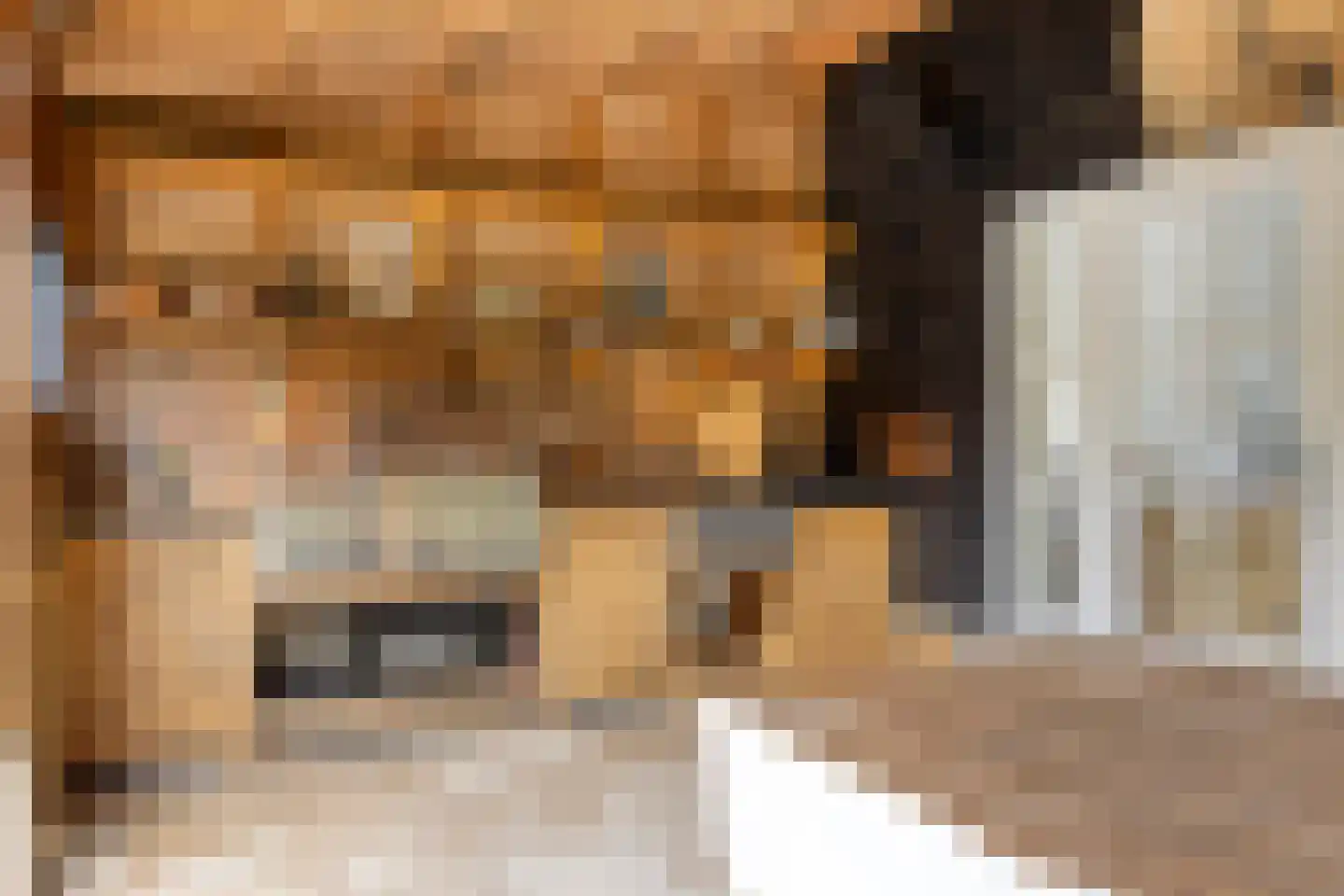 Vaartweg 34 's Gravenmoer thumbnail 39