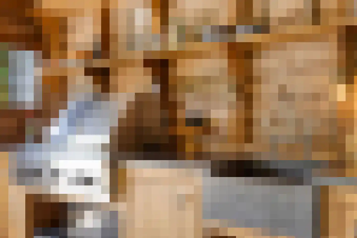 Vaartweg 34 's Gravenmoer thumbnail 40