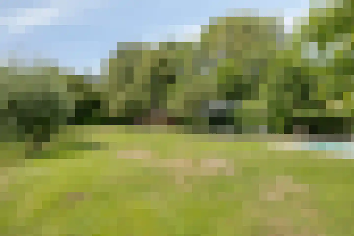 Vaartweg 34 's Gravenmoer thumbnail 46