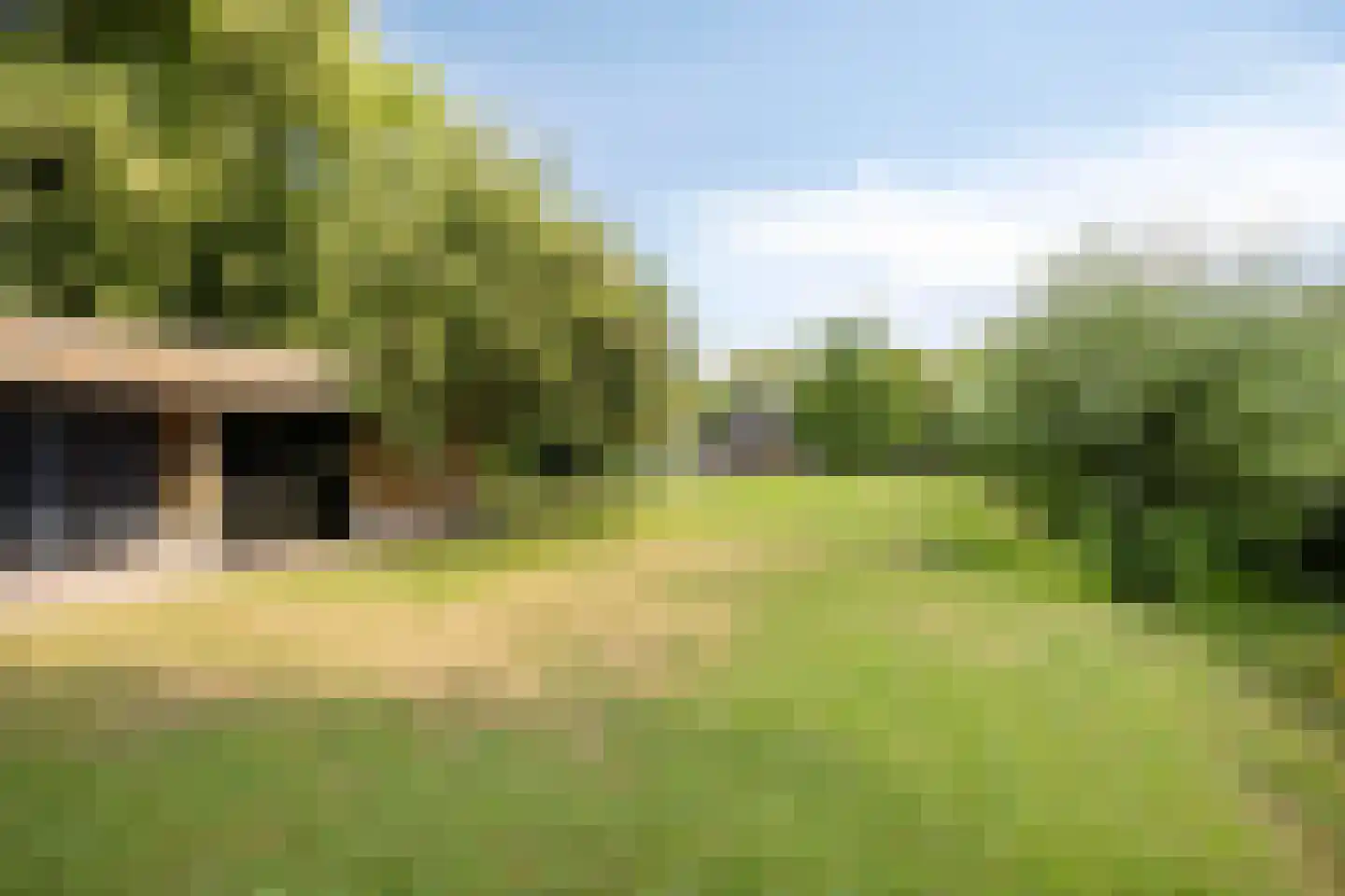 Vaartweg 34 's Gravenmoer thumbnail 48