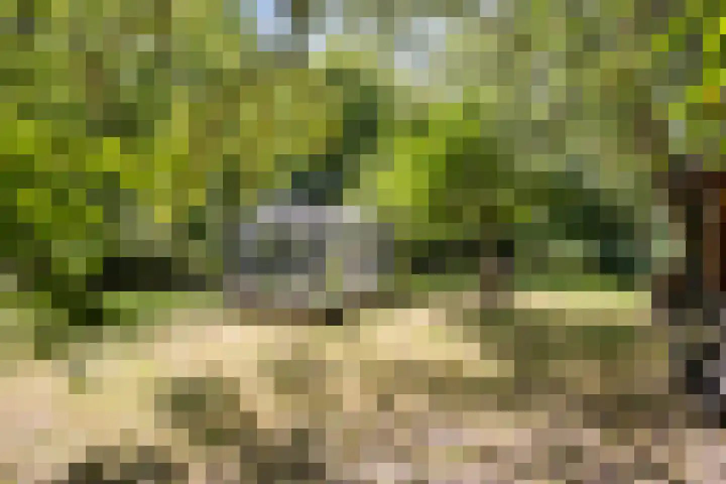 Vaartweg 34 's Gravenmoer thumbnail 49
