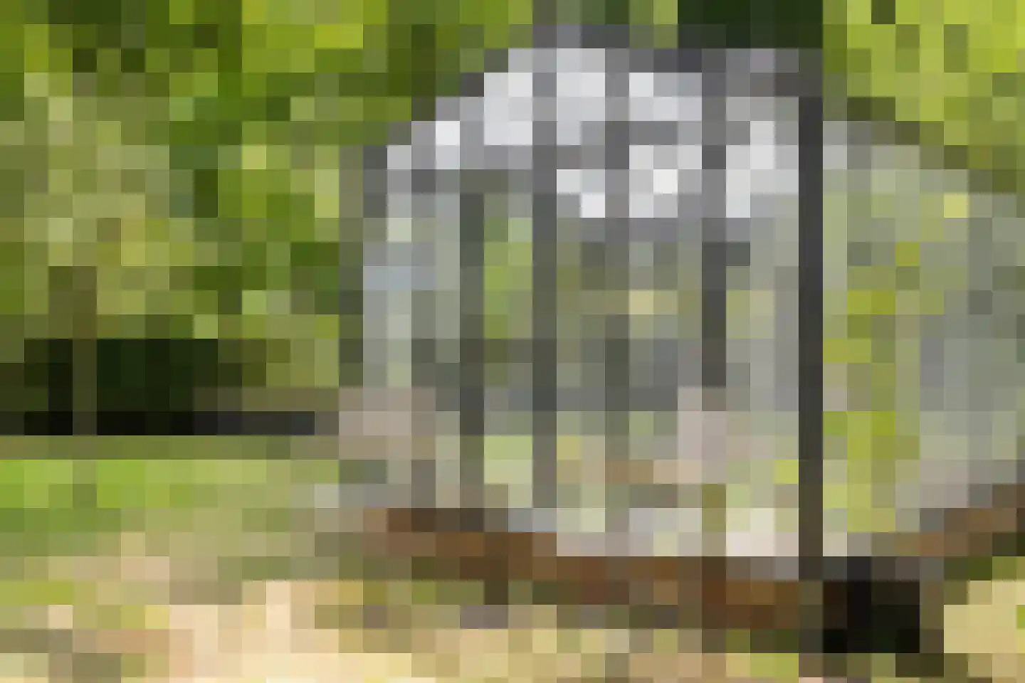 Vaartweg 34 's Gravenmoer thumbnail 50