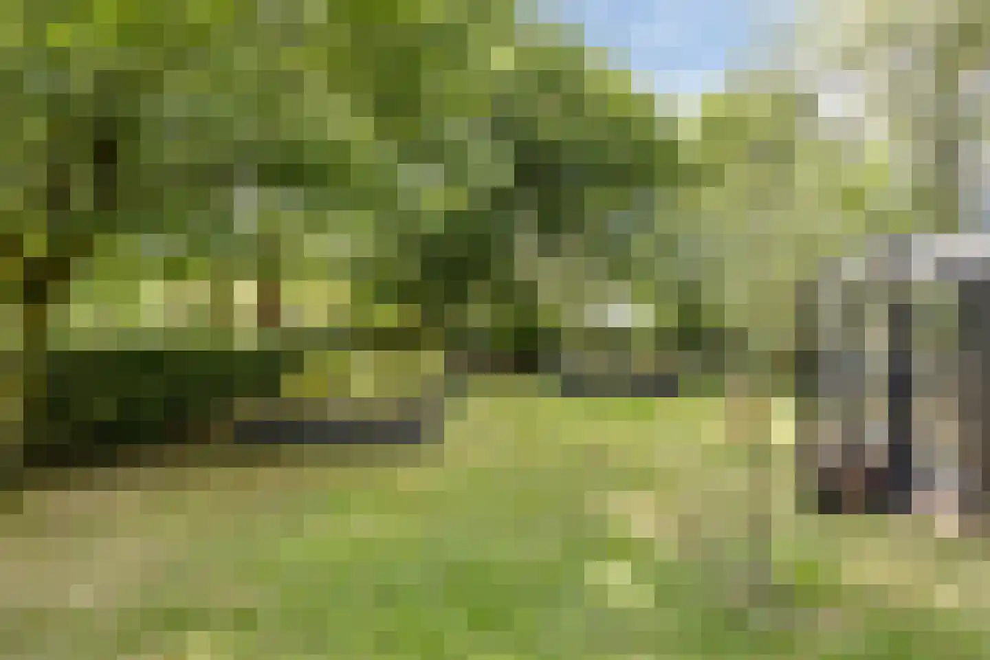 Vaartweg 34 's Gravenmoer thumbnail 51