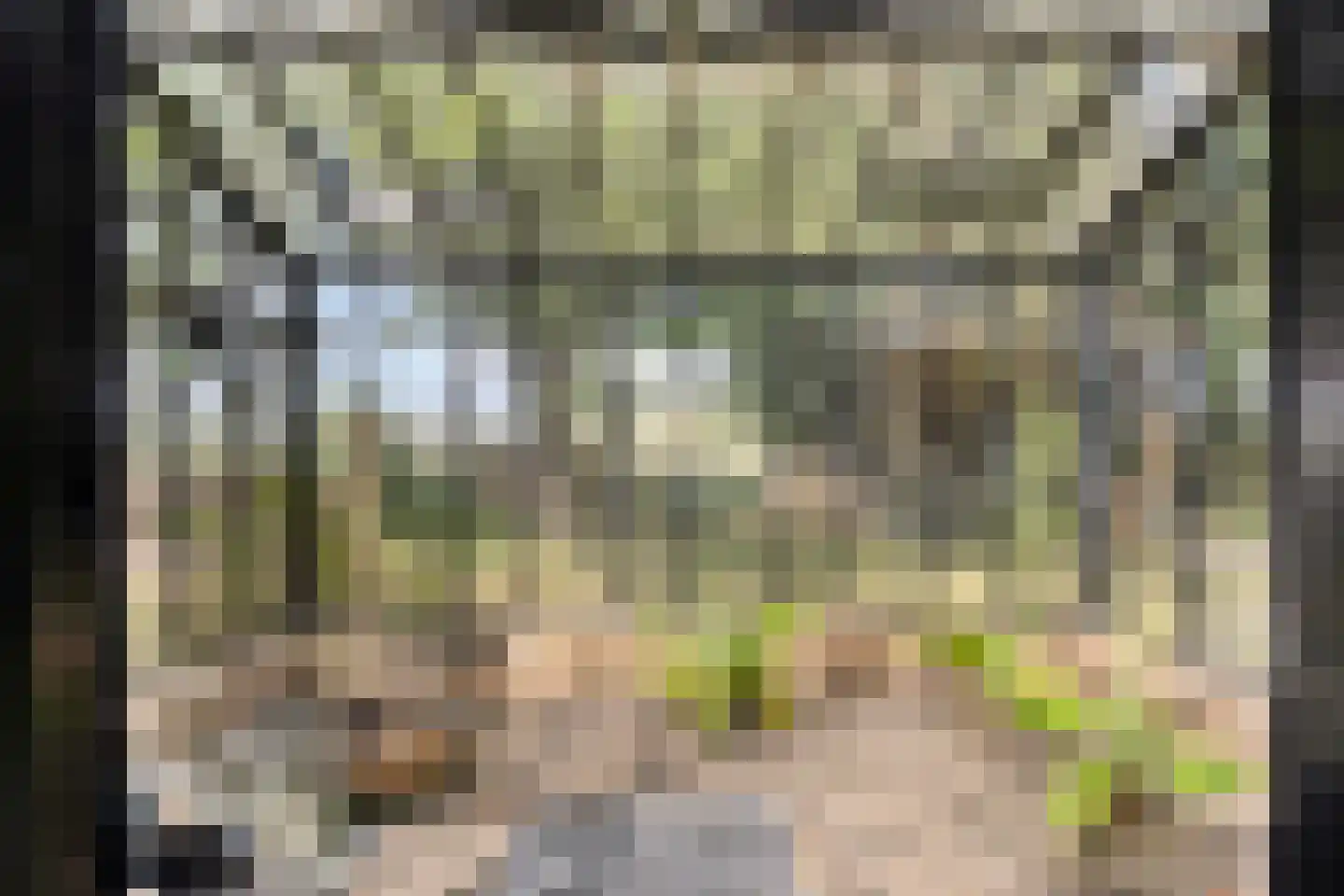 Vaartweg 34 's Gravenmoer thumbnail 52