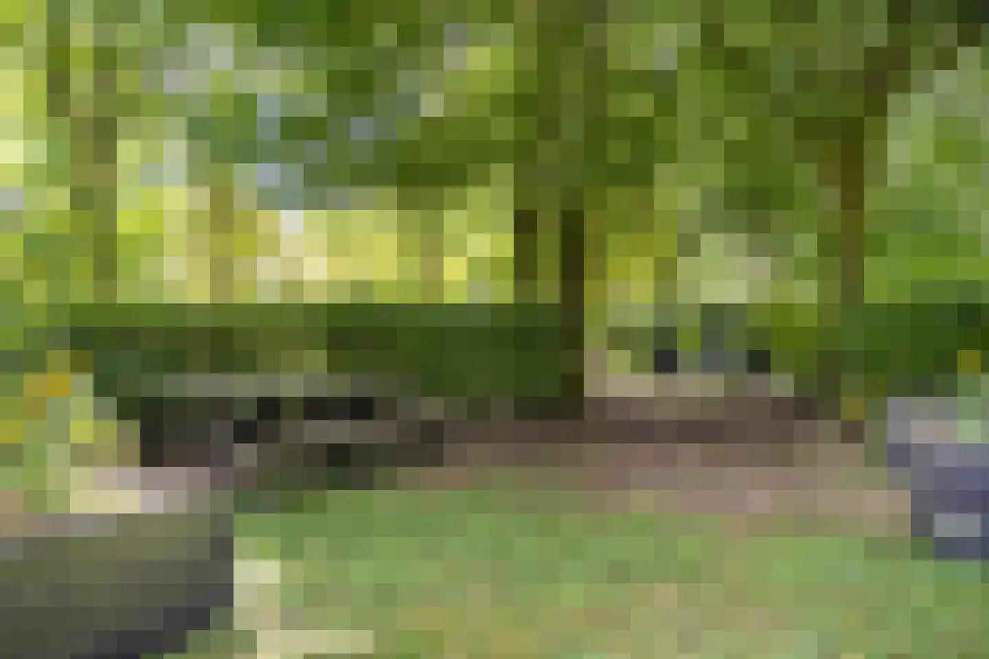 Vaartweg 34 's Gravenmoer thumbnail 53