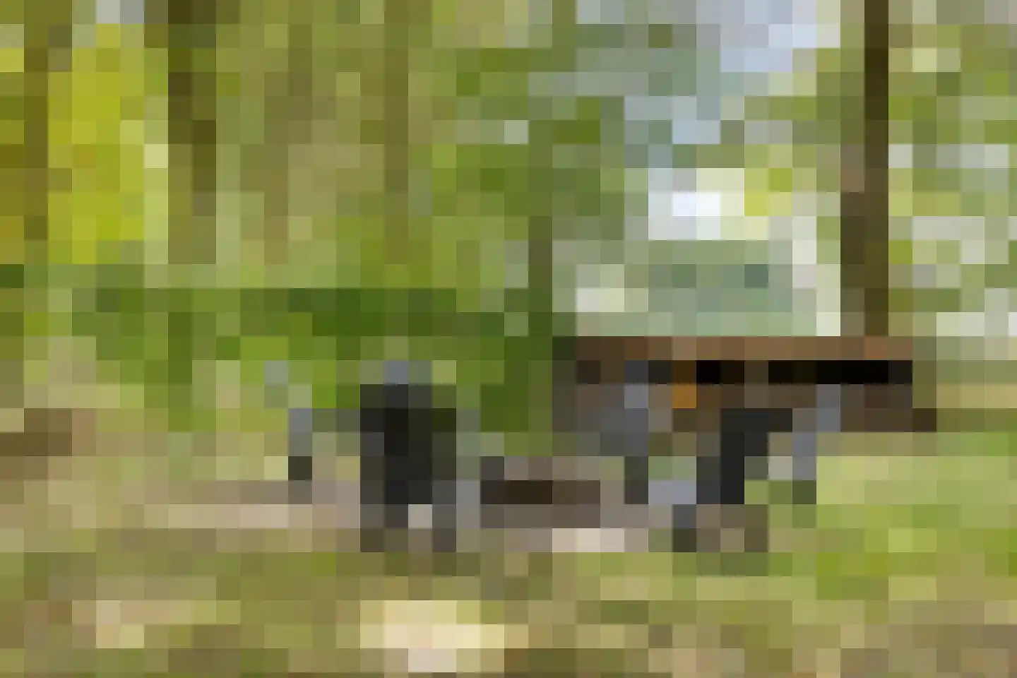 Vaartweg 34 's Gravenmoer thumbnail 54