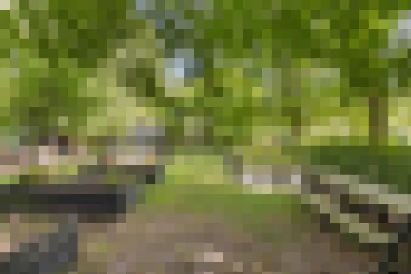 Vaartweg 34 's Gravenmoer thumbnail 55