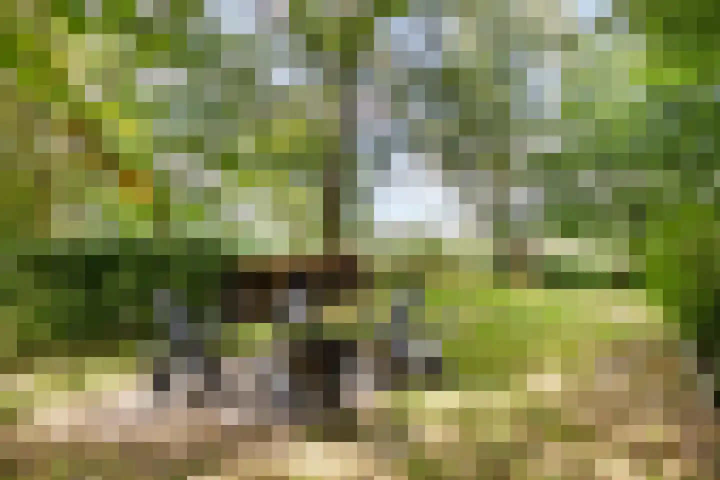 Vaartweg 34 's Gravenmoer thumbnail 56