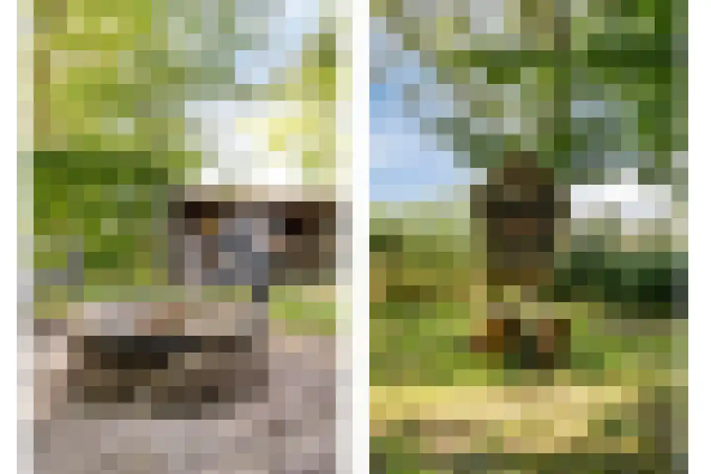 Vaartweg 34 's Gravenmoer thumbnail 57