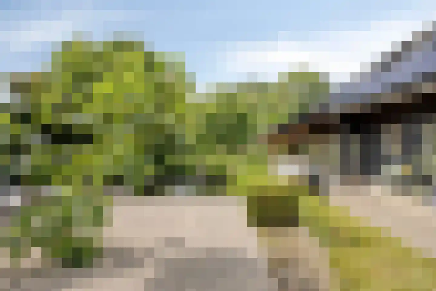 Vaartweg 34 's Gravenmoer thumbnail 59