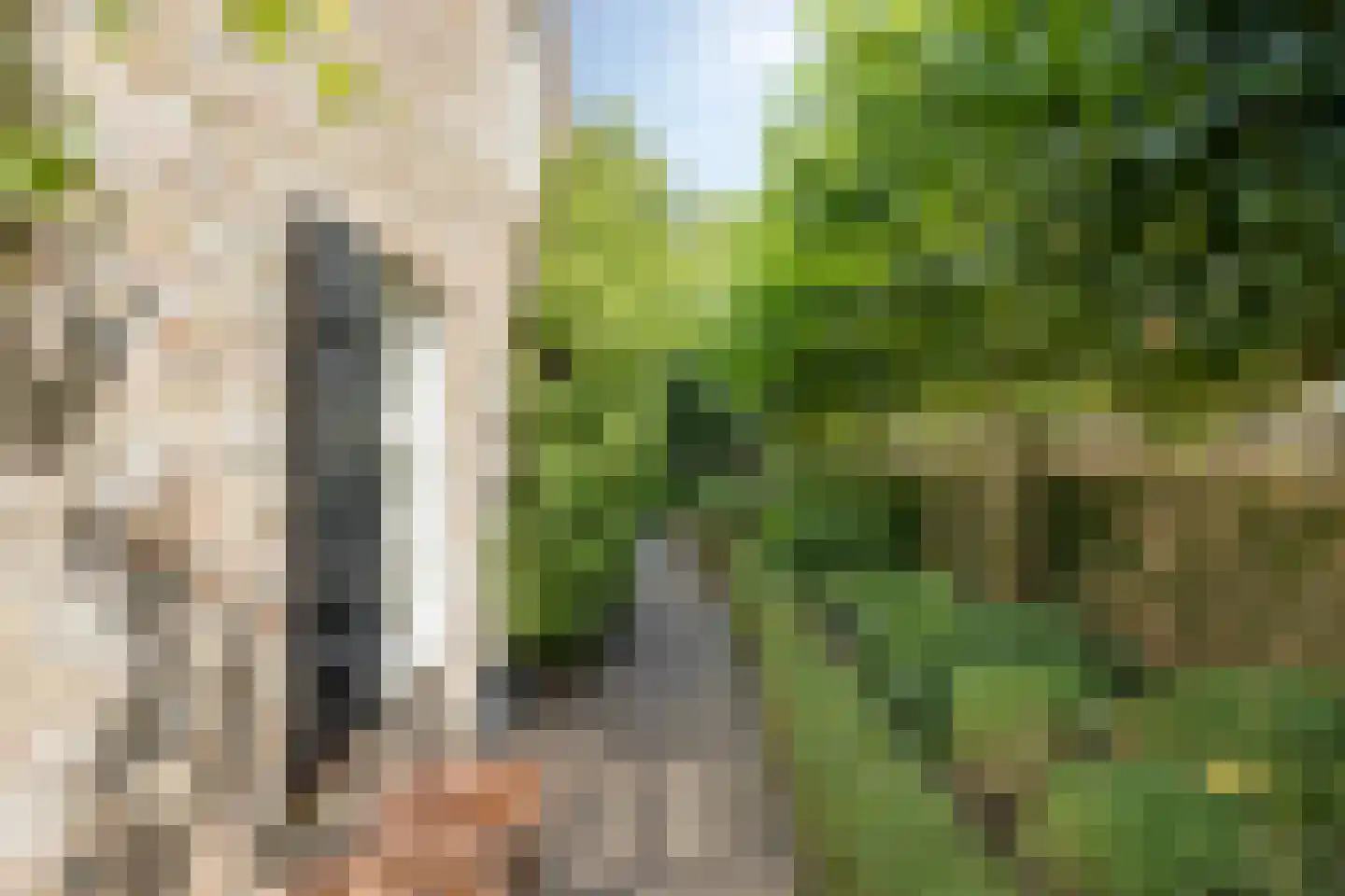 Vaartweg 34 's Gravenmoer thumbnail 64