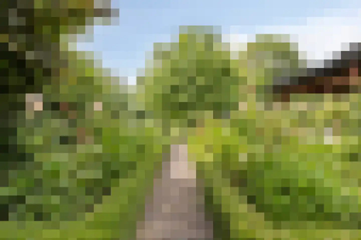 Vaartweg 34 's Gravenmoer thumbnail 77