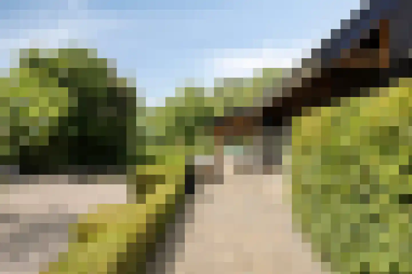 Vaartweg 34 's Gravenmoer thumbnail 8
