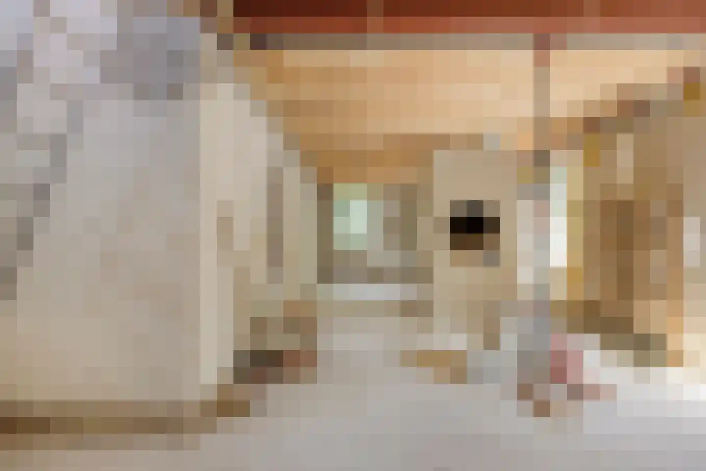 Vaartweg 34 's Gravenmoer thumbnail 88