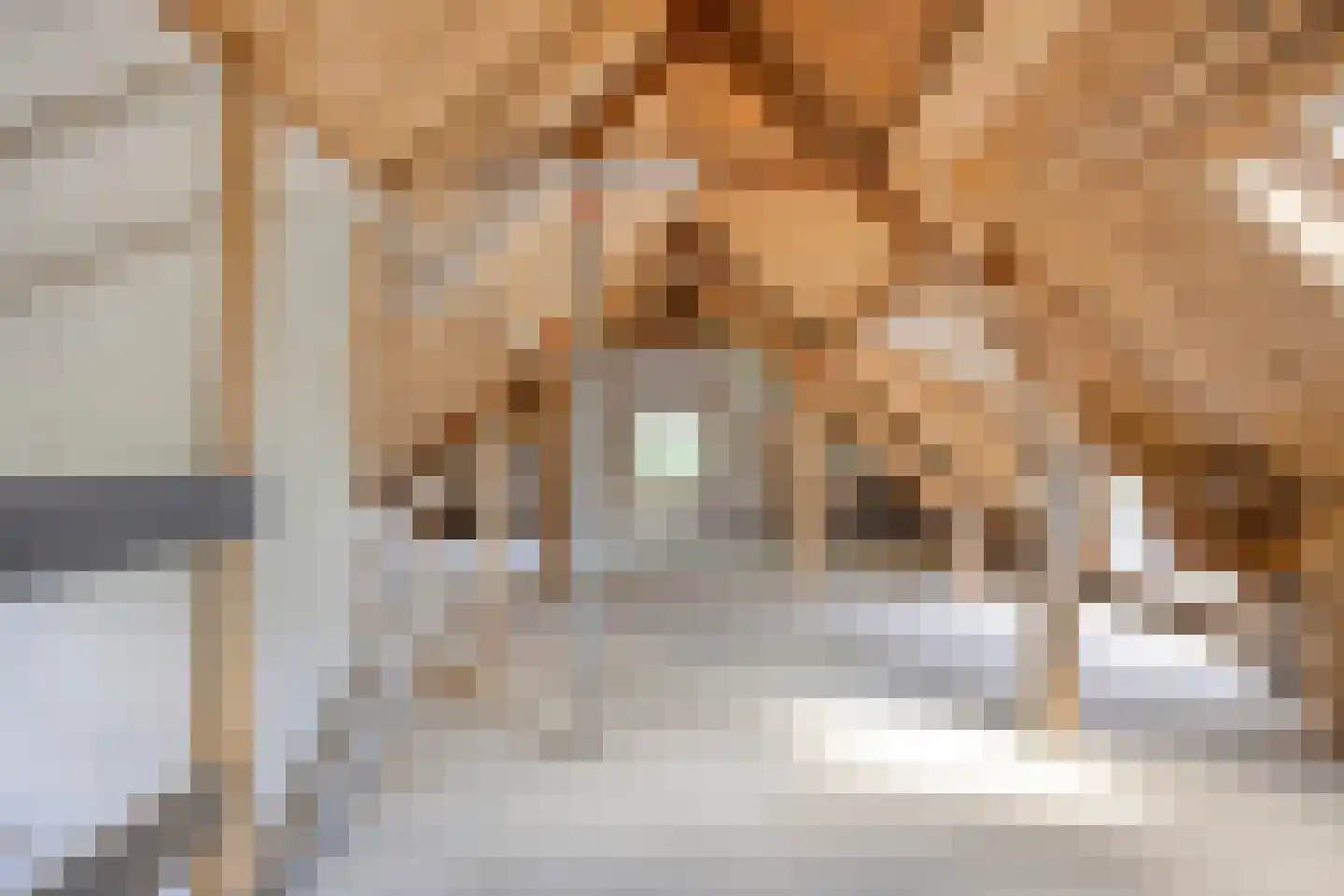 Vaartweg 34 's Gravenmoer thumbnail 90
