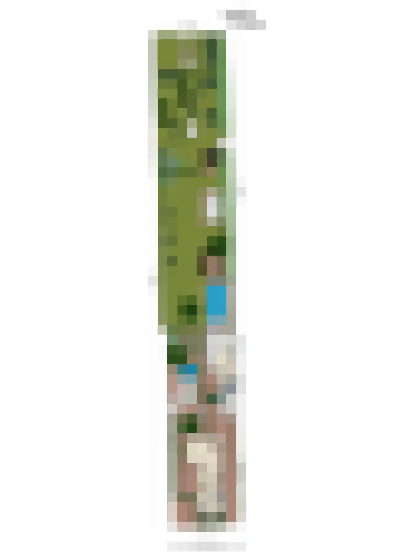 Vaartweg 34 's Gravenmoer thumbnail 96