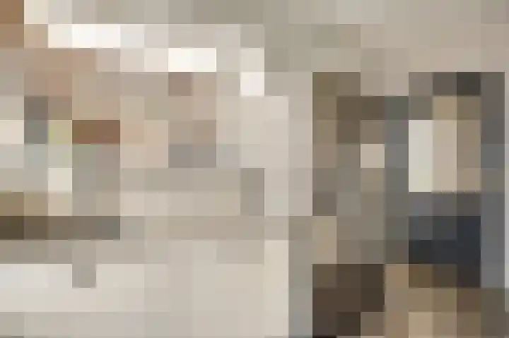 Vaartweg 4 Haelen thumbnail 11